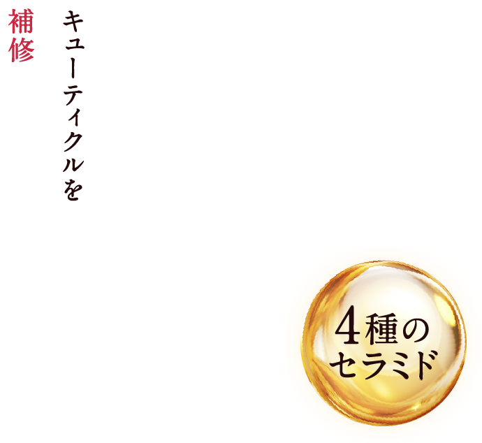 Na.be カラーシャンプー Na.be カラーシャンプー